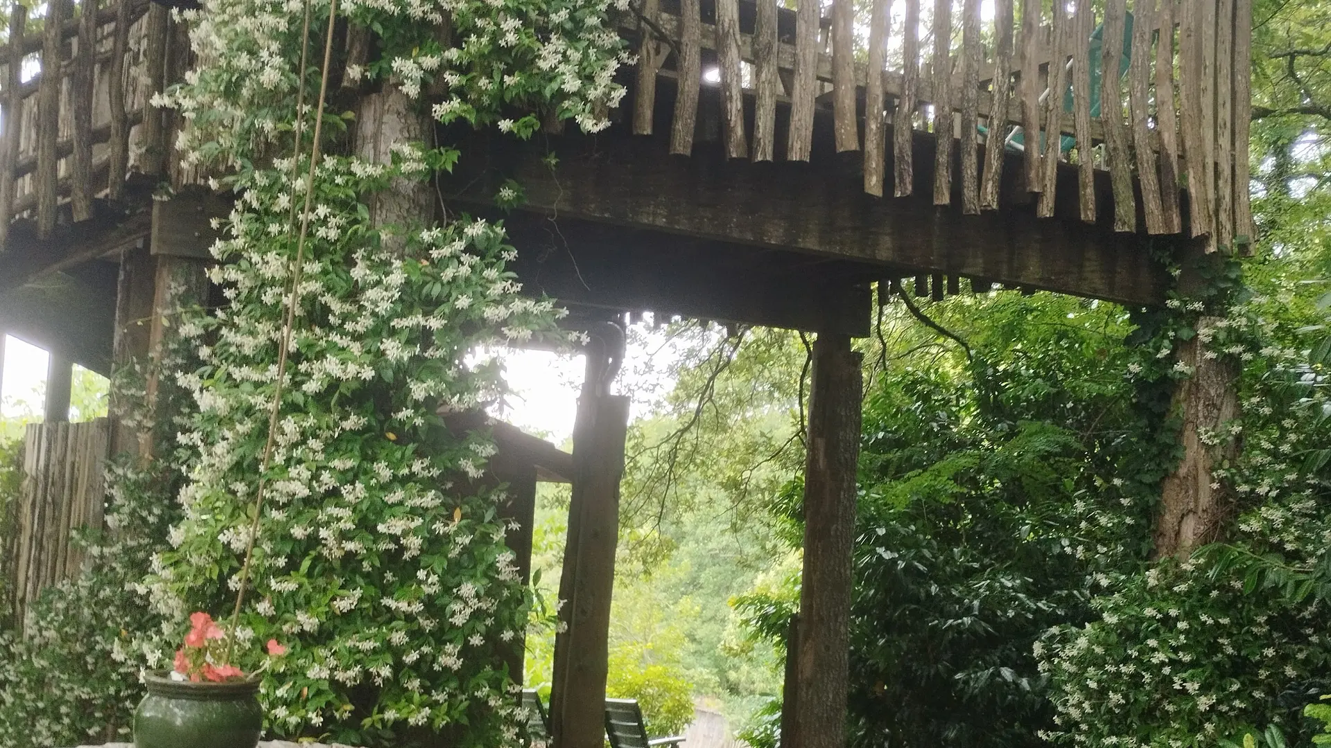 Cabane papyjotte 2025 ©Hayet