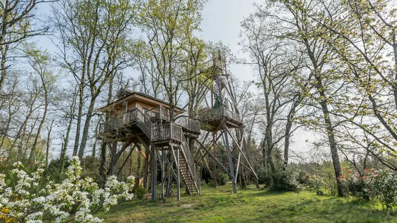 Cabanes-des-chênes2