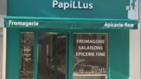 Papillus