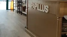 Papillus