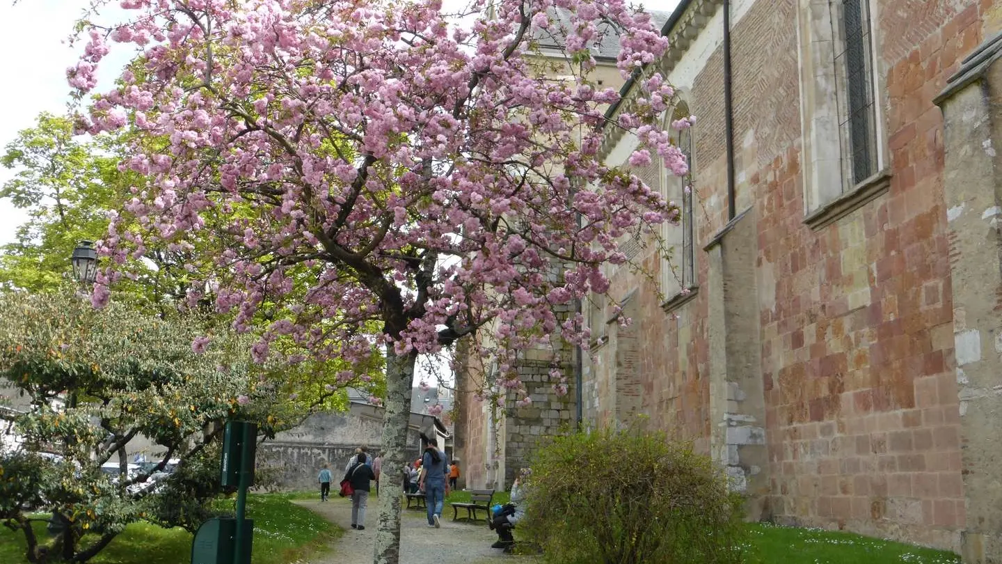 Cathédrale - façade nord