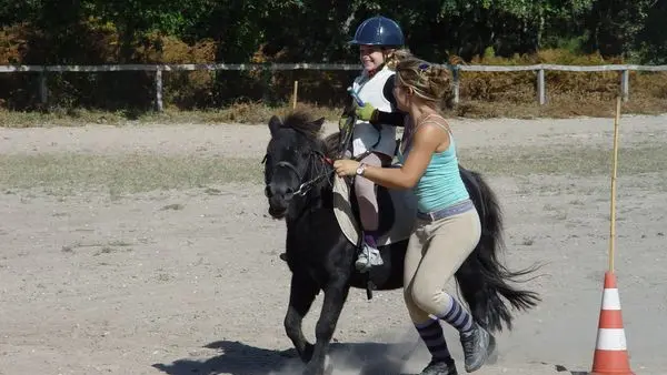 Centre Equestre de Périgueys