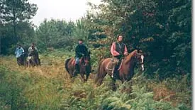 Centre Equestre de la haute Yerle-Alles2