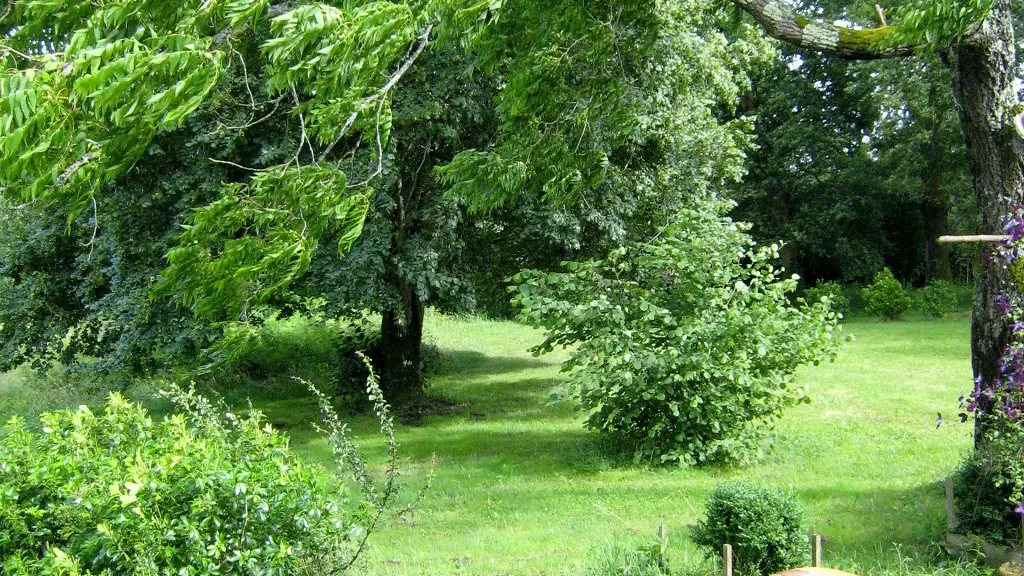 Centre Saraswati - jardin
