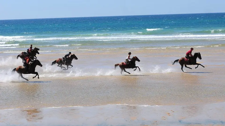 Centre equestre Marina 2015frenesie