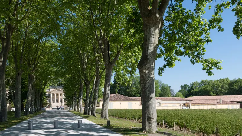 Château-Margaux3