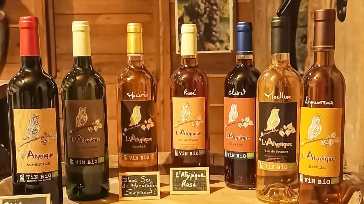Château Larchère 4