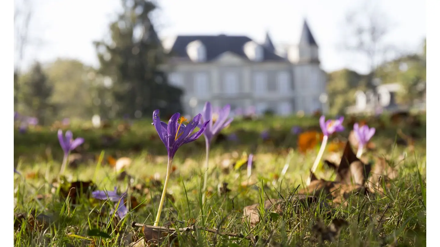 Château de Franqueville - Bizanos - Façade et prairie