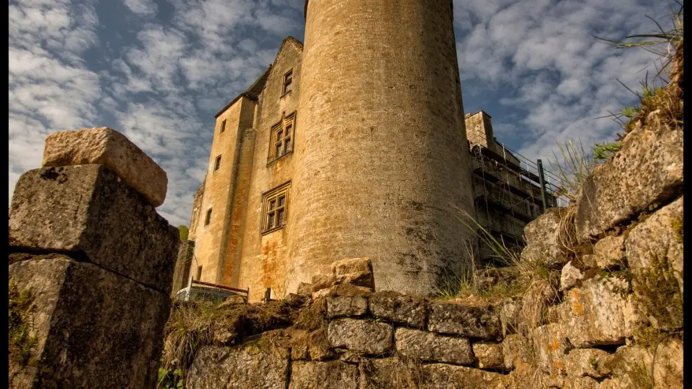 Chateau_de_Salignac (3)