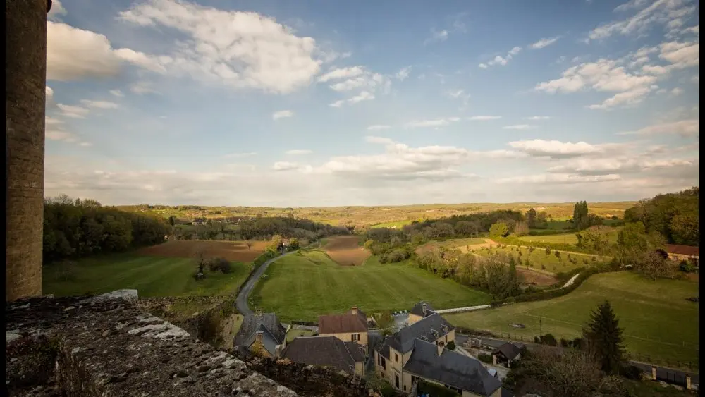 Chateau_de_Salignac (8)