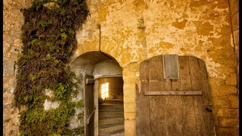Chateau_de_Salignac (6)