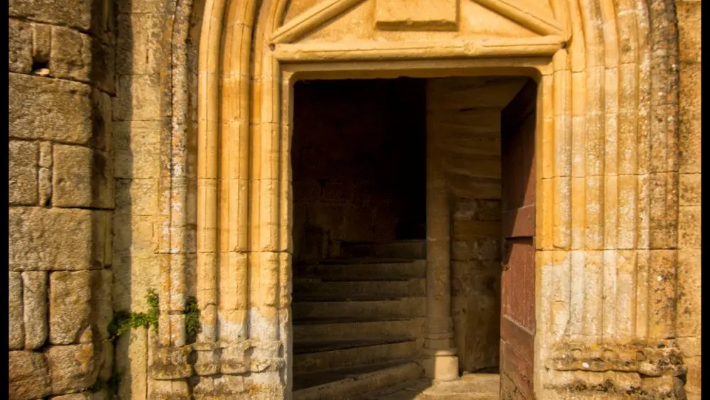 Chateau_de_Salignac (5)
