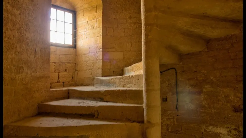 Chateau_de_Salignac (4)