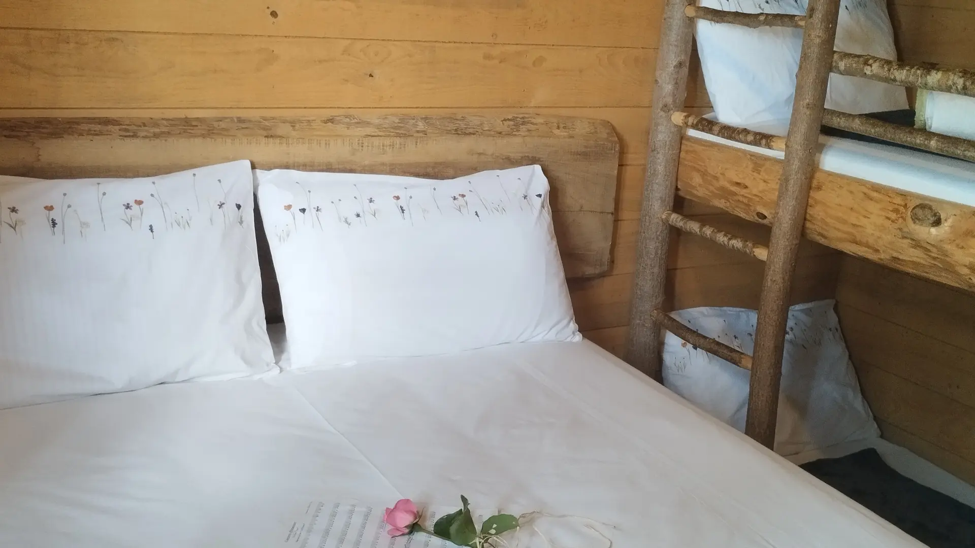 Chambre papyjotte 2025 ©Hayet