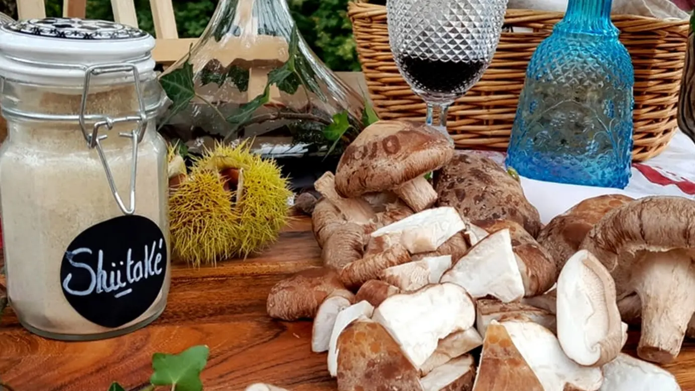 Champignons-de-Gaudeix