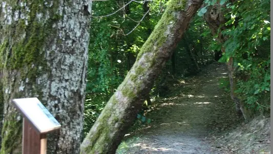 Chemin chapelle des Bois