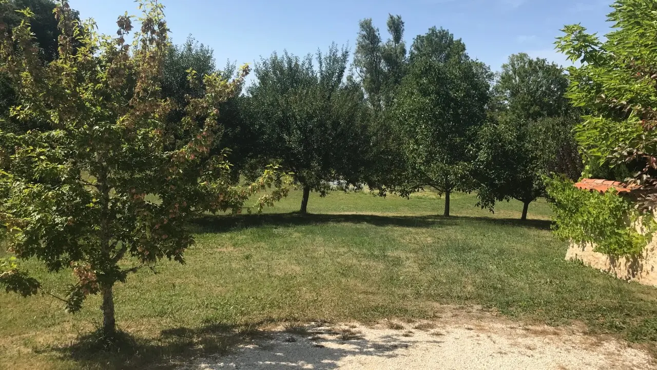 Clos-de-Charroux-parc