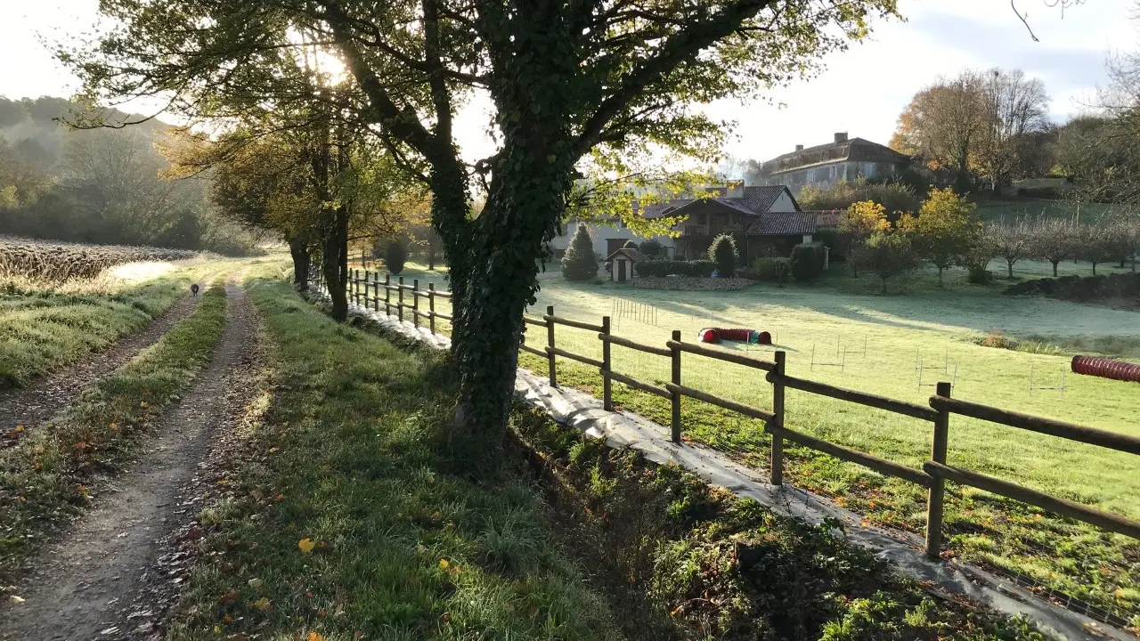 Clos-de-Charroux-sentier