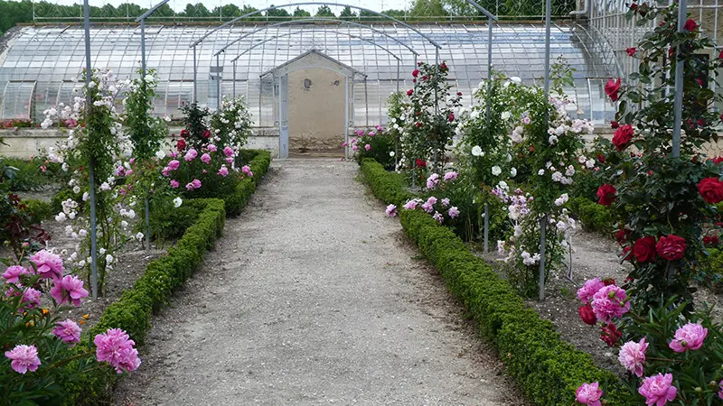 Cussac-Fort-Médoc - Parc du Château Lanessan