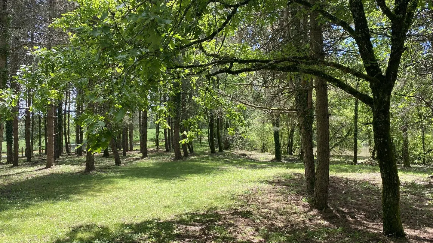 DOMAINE DE LITHOS (2)