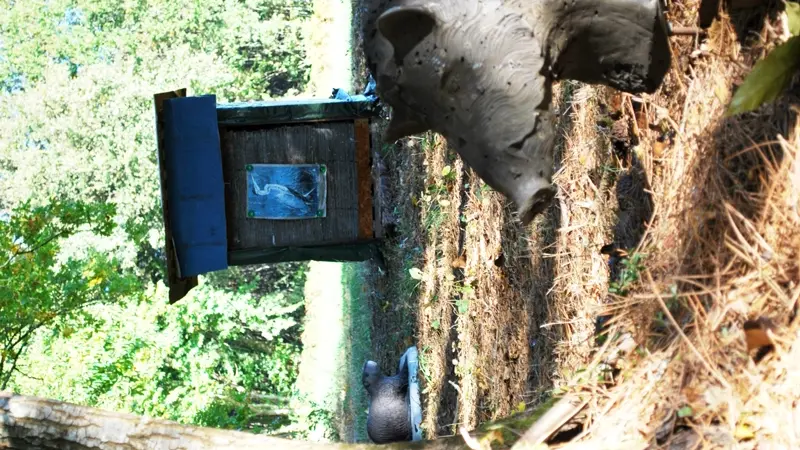 Tir à l'Arc les Elfes de Villamblard