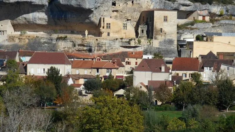 Les Oeillets_Denis ROUVES