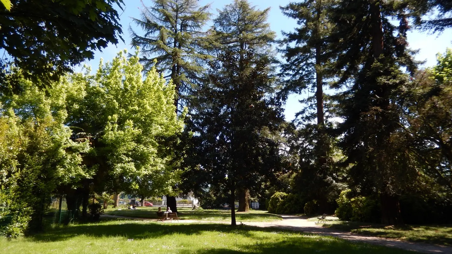 Square Besson - Pau - Arbres