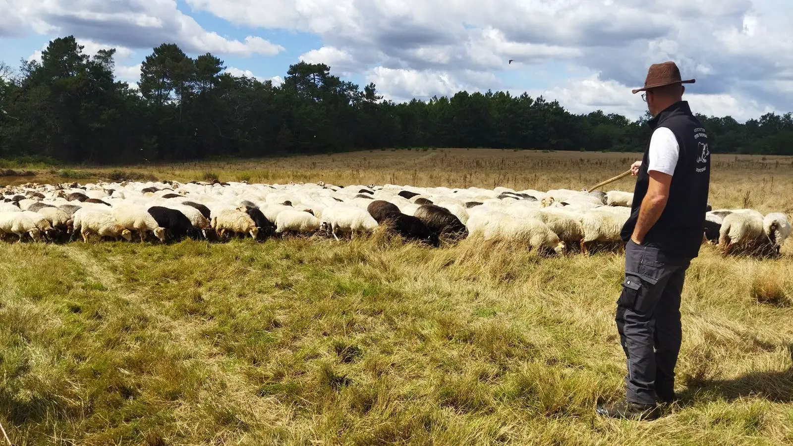 Visite de ferme - Didier-Pernet-Paturage-Itinrant-8