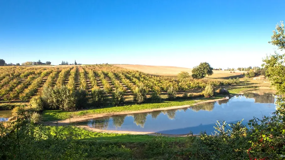 Domaine du Vieux Bourg Pardaillan