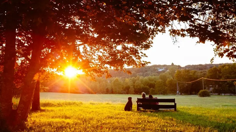 Domaine de Corneuil (8)