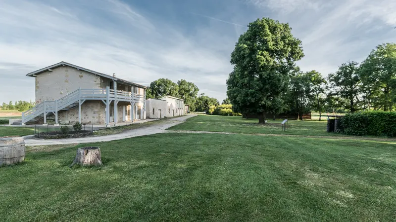 Domaine-de-Pachan5