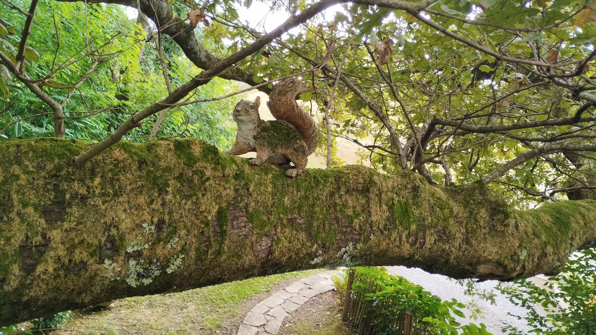 Ecureuil Papyjotte 2025 ©Hayet