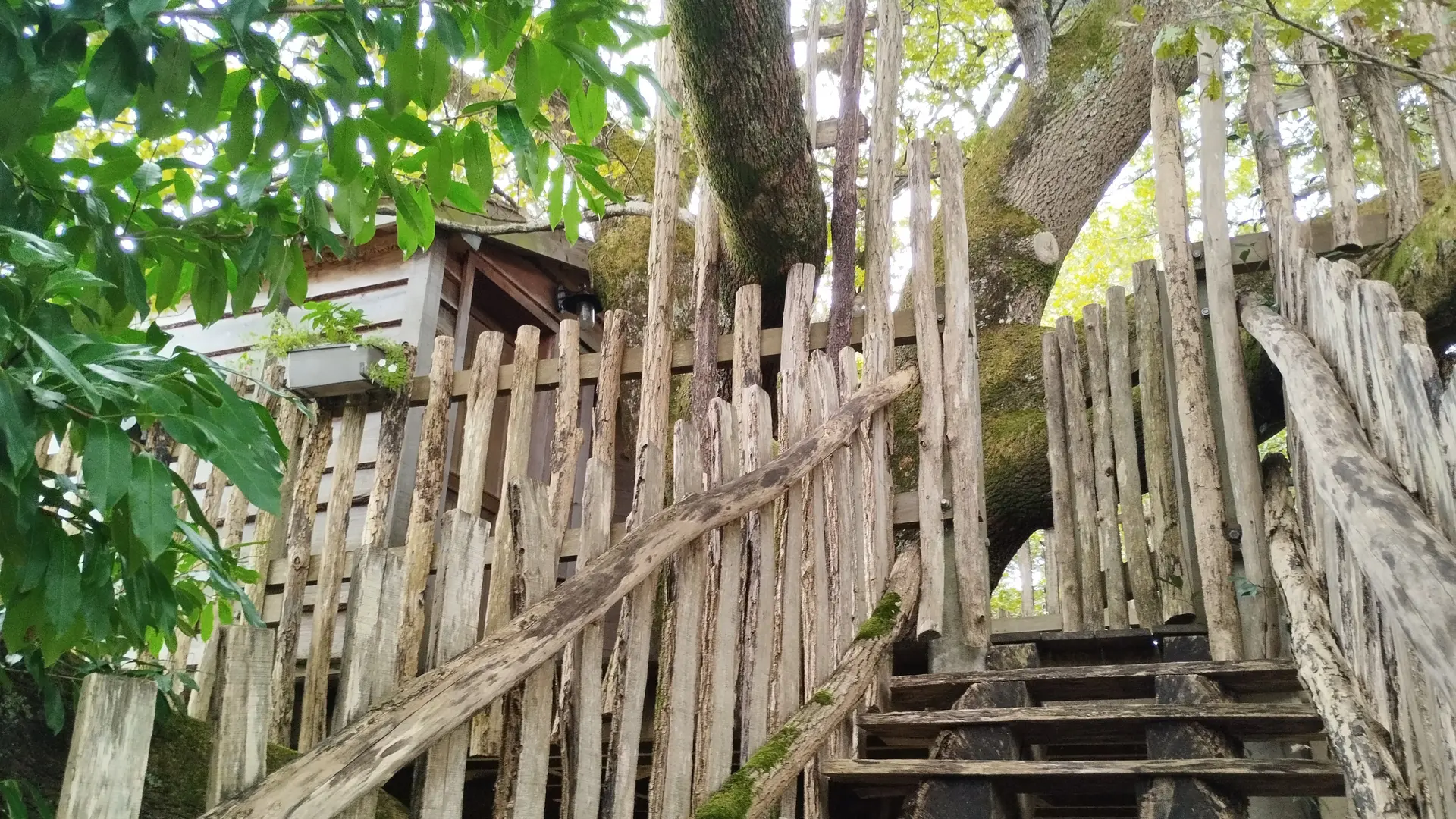 Escalier Papyjotte 2025 ©Hayet