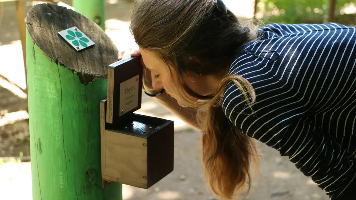 Escape game garden 1 3 2