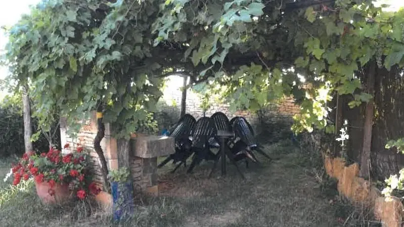 Exterieur-2-Gite---Monsieur-Lepine