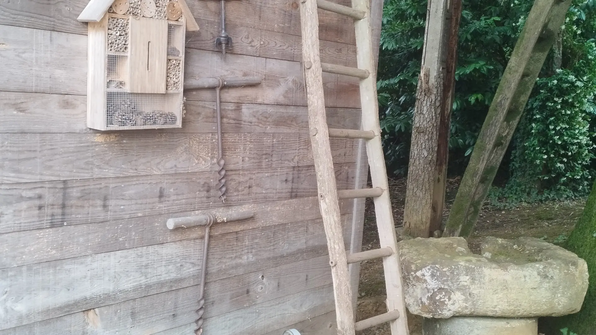 Extérieur déco Papyjotte 2025 ©Hayet.