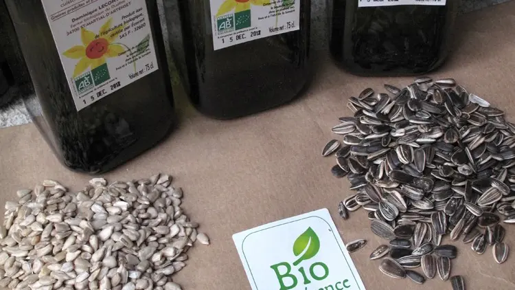 Bouteilles d'huile de tournesol