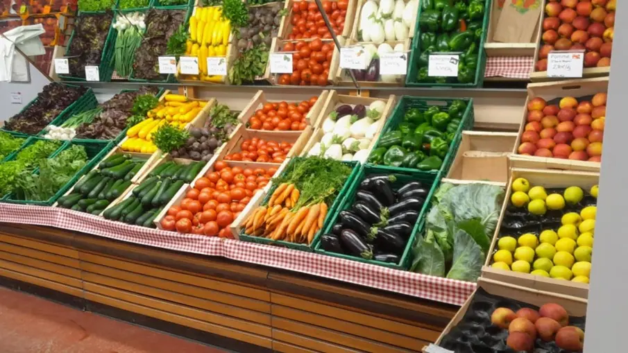 Ferme-de-Brion-Montpon-legumes-a-vallee-isle-perigord