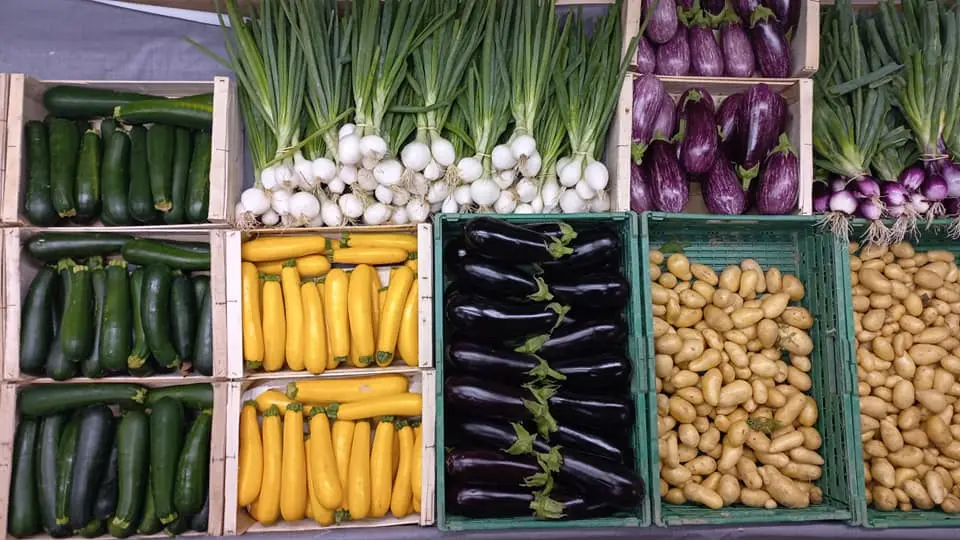 Ferme-de-Brion-Montpon-legumes-c-vallee-isle-perigord