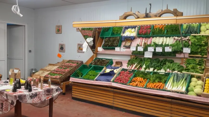 Ferme-de-Brion-Montpon-legumes-vallee-isle-perigord