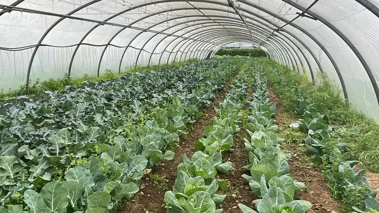 Ferme-de-Brion-Montpon-serre-vallee-isle-perigord