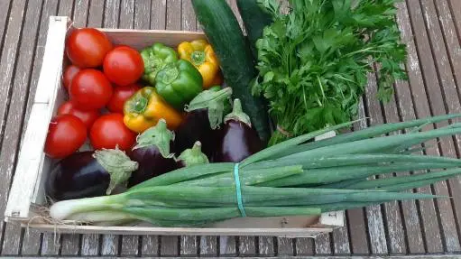 Ferme-des-deux-mains-st-martial-cageot-legumes-vallee-isle-perigord