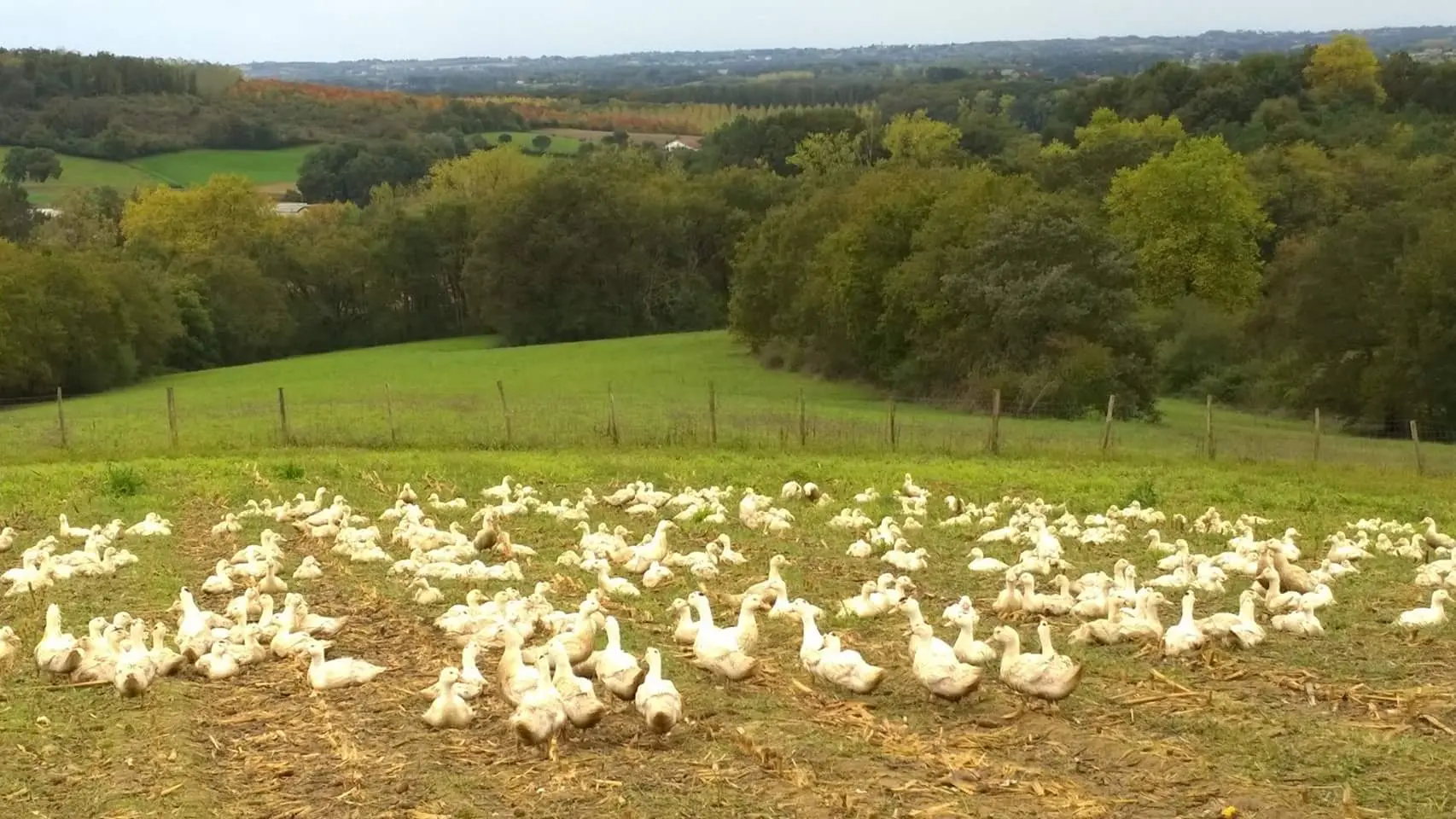 Ferme-des-eschourdes