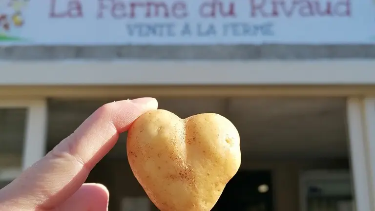 Ferme-du-Rivaud-entrée-le-pizou-vallee-isle-perigord