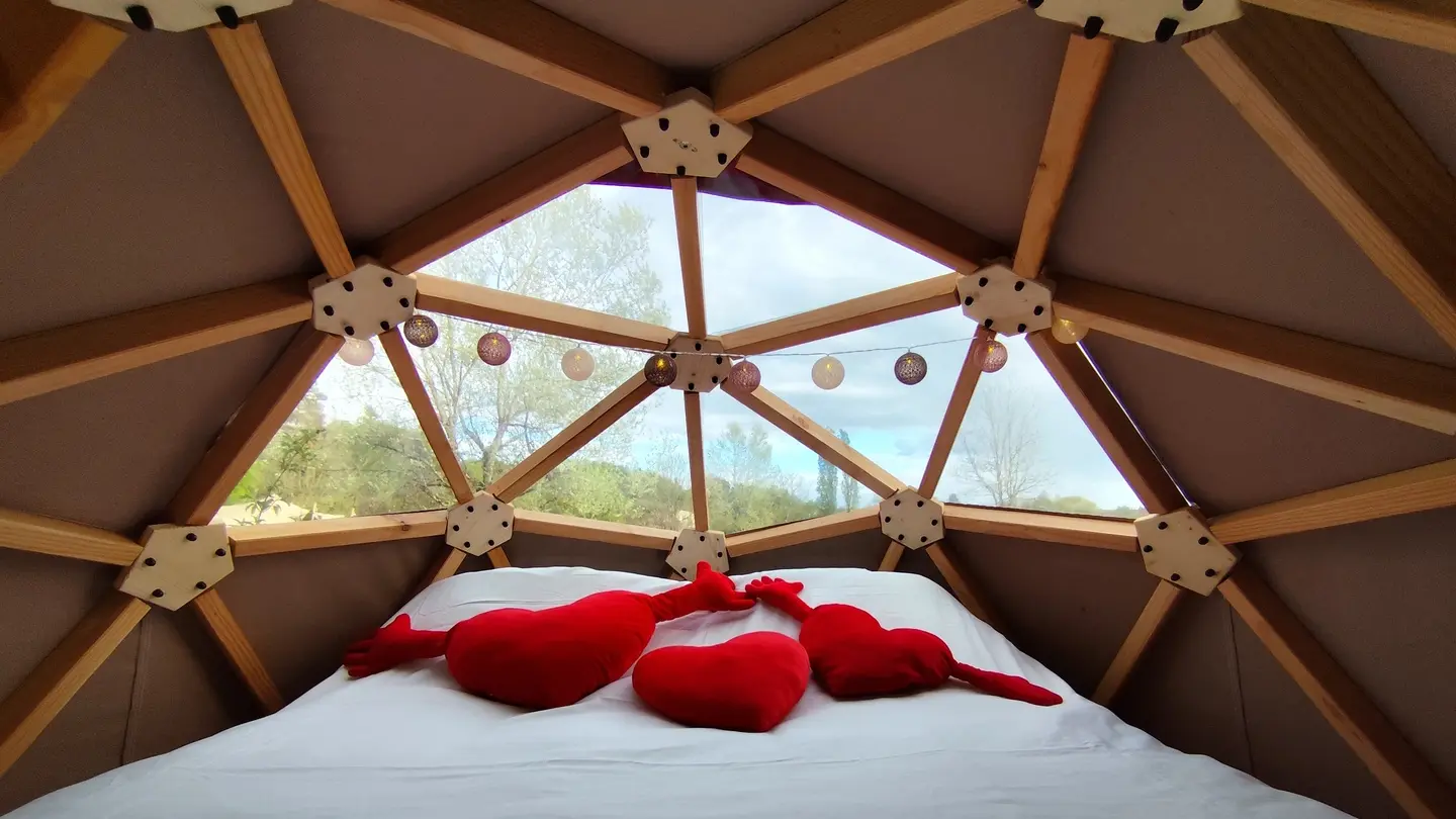 Friendly Camping and Lodges