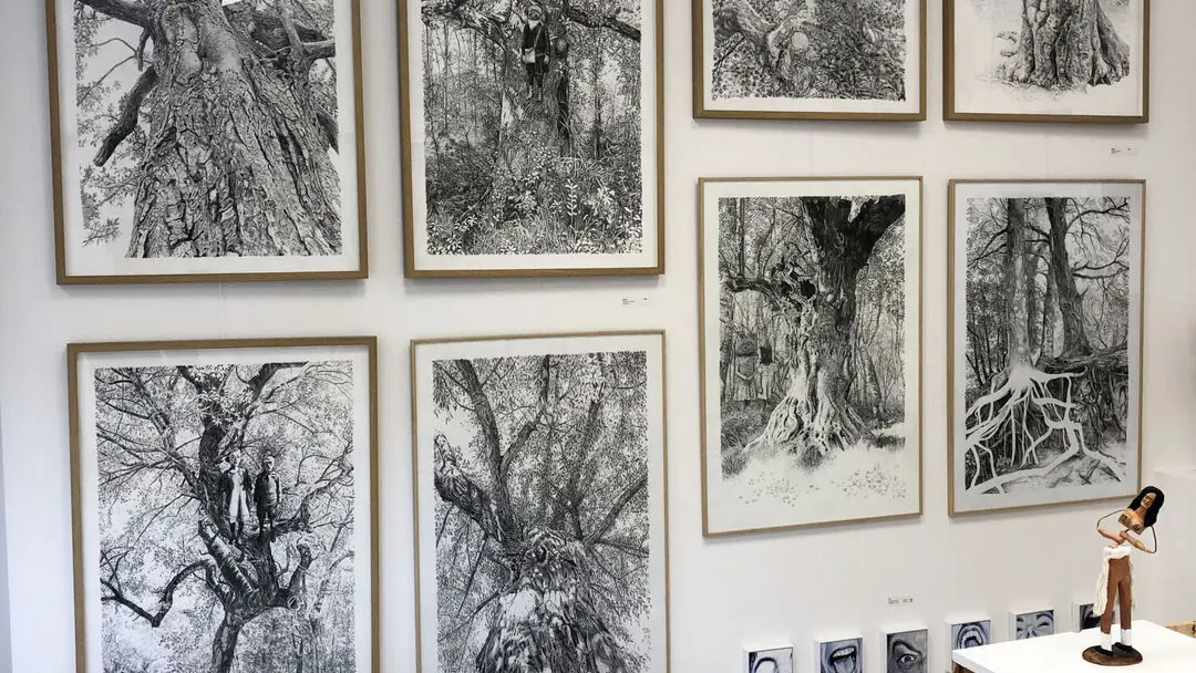 Galerie_jammes_lutton