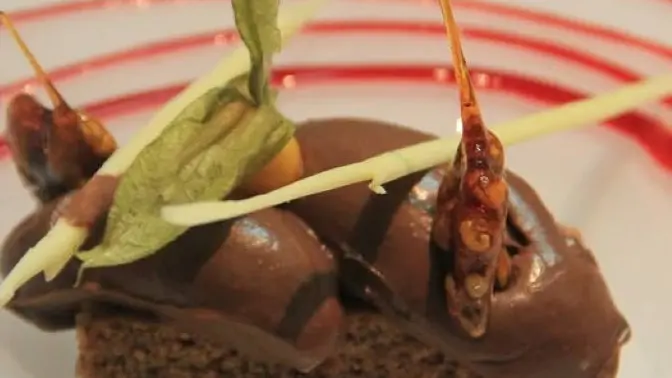 Gâteau aux noix du périgord