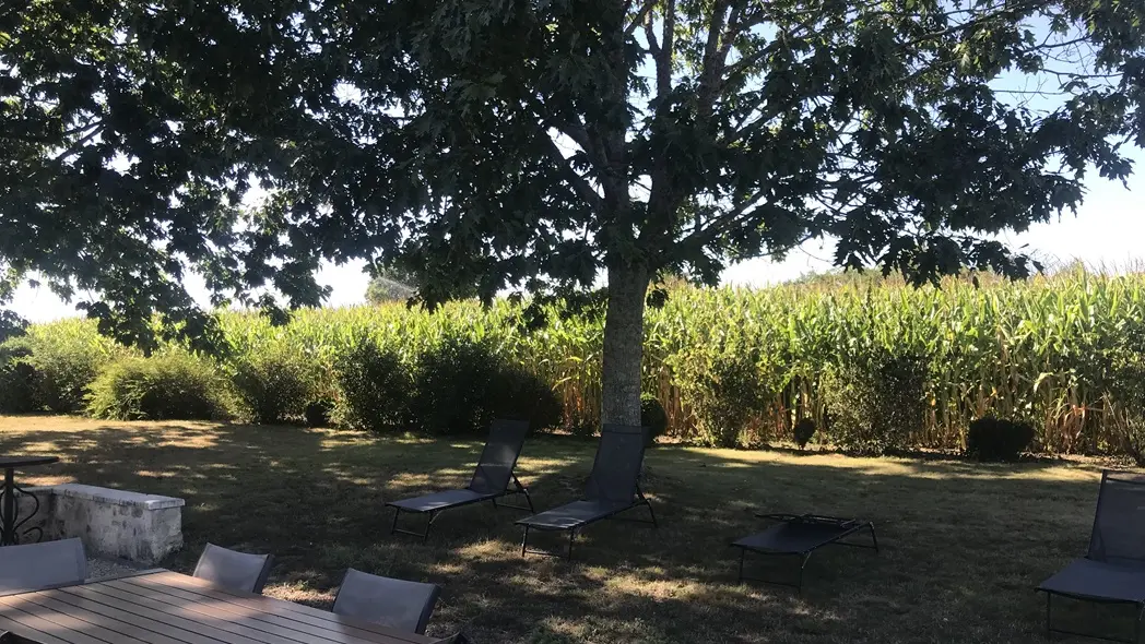 Gîte-Fretillère-Villa-Marguerite-terrasse