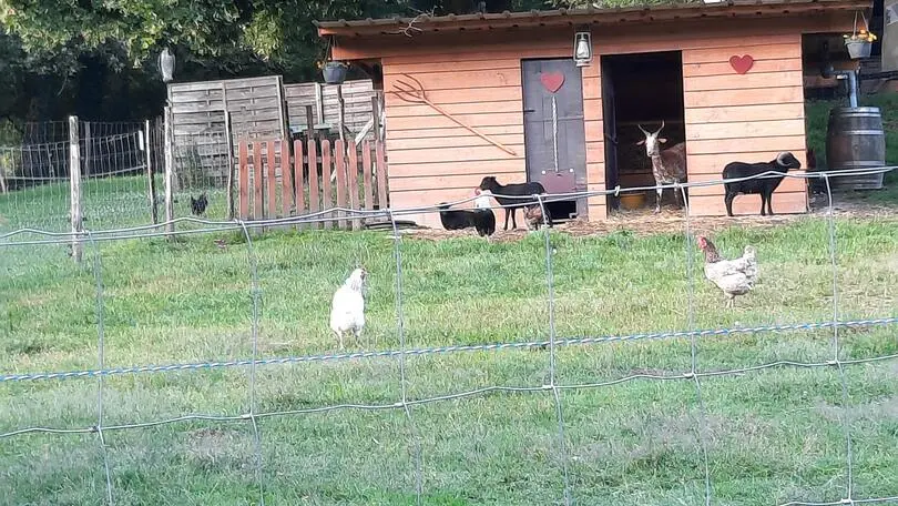 Gite Papillons des Bois (12)