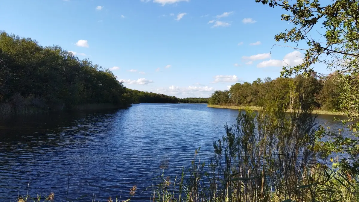 Grand Etang de la Jemaye